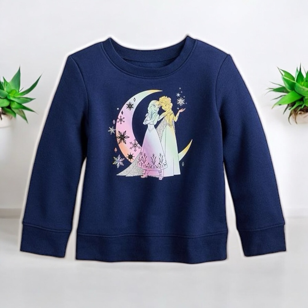 Disney's Frozen Anna & Elsa Toddler Girl Fleece Pullover Sweater by Jumping Bean